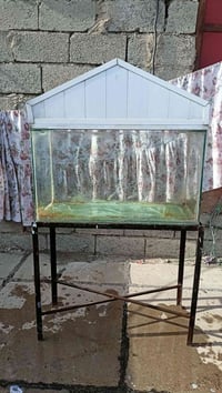 حوض سمك • للبيع • تواصل خاص