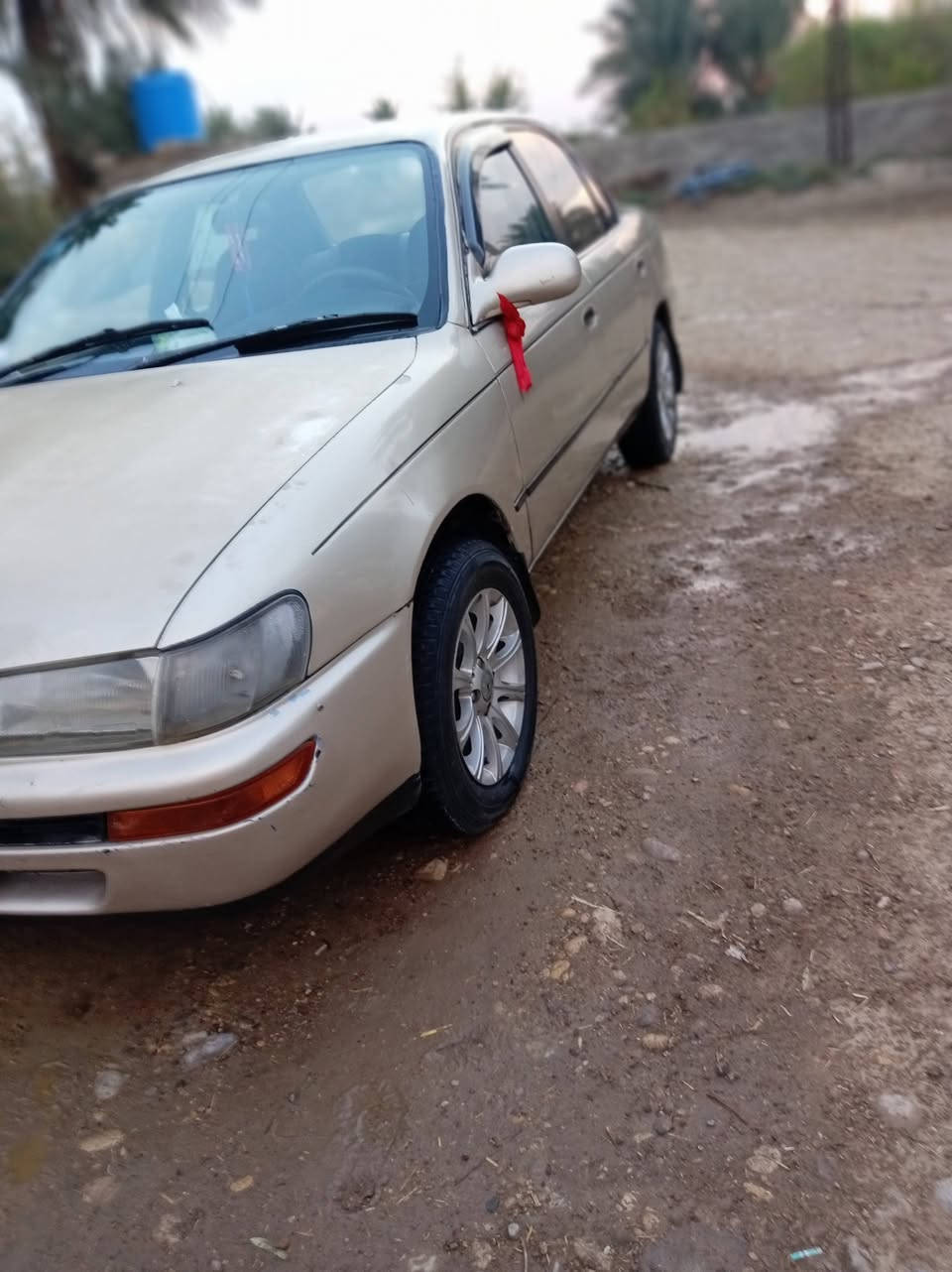 سلام عليكم
للبيع تيوتا كورلا موديل 1992 رقم بغداد تحويل مباشر  بأسم المشتري سنويه مجدده لل2028
تخم تايرات 
صدر جديد 
دوشمه جديده 
كهربائيات كلها شغاله 
كير ومحرك خير من الله 
السعر 53وبيها مجال بسيط

للاستفسار ***********
