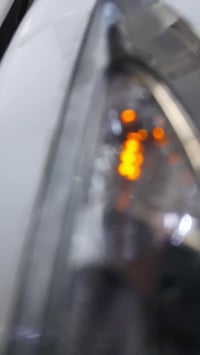 ماجیستا • شاهینە • کەلار