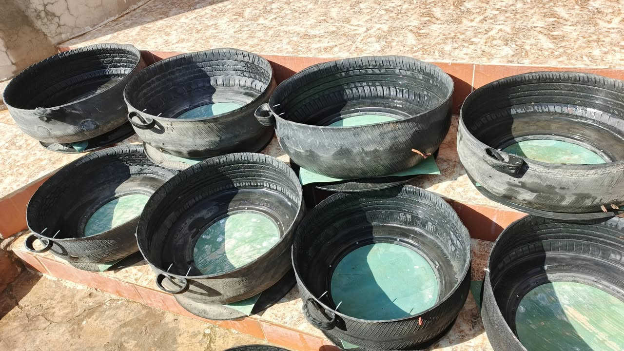 سلام عليكم ورحمة الله وبركاتة معالف البيع وجوابي حجم كبير شغل رقم واحد سعر المعلف 5 وسعر جابيه حجم كبير ب7 مكاني ناحية شوره التصال برقم ***********
