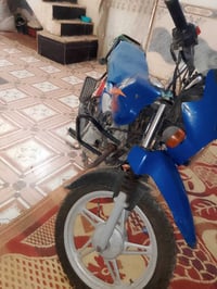 بدون أوراق • موديل ٢١ • القادسية