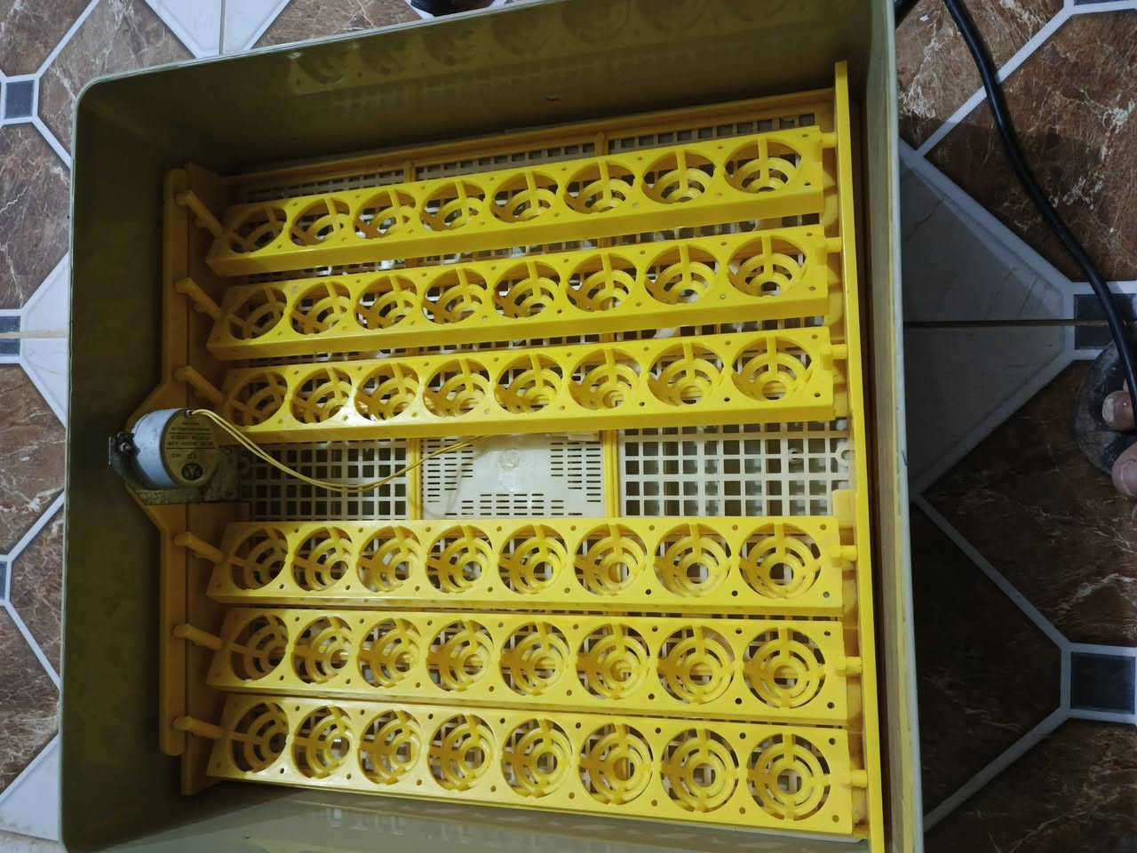 سلام عليكم البيع فقاصه فول نضافه  تاخذ 48 بيضه تماتيك. اي نقص مابيهه مكان ديالى شهربان سعر 150 بيهه مجال ***********
