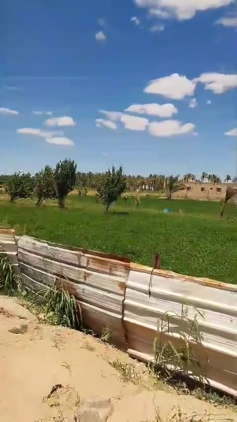 ارض للبيع مساحه 9دوانم مع حقل دواجن مجاز طابو زراعي سند 25 الشهابي قرب معمل سمنت الفلوجه . كهرباء وماي اساله وماي سقي باسم شخص واحد .مع بيت كبير ومشتمل .مع تركتر فوركسن ... للاستفسار ***********
