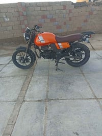 ديون لايتي • موديل 23/24 • أوراق وكالة