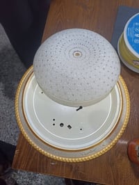 كارتونه • تغليف • ديكور