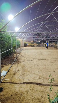 يوجد بيوت للبيع بهاي النوعيه استفسار خاص لو اتصال على رقم الهاتف 07870...