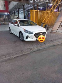 ٢٠١٩ • دوش ٢٤٠٠ • رقم اربيل