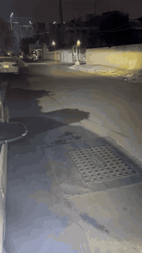 اسمه كشاف الهبة قطعتين ينشد بل فتحات مال شباج ابيض اصفر فيدرالي مشتت حرارة امريكي الصنع كشاف لحد 600 متر اناره نهار يربط عالي ناصي وكشاف ضباب قواعد تثبيت بي او حصر بل شباج ***********
