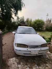 برنس فراشه • بابل • للبيع