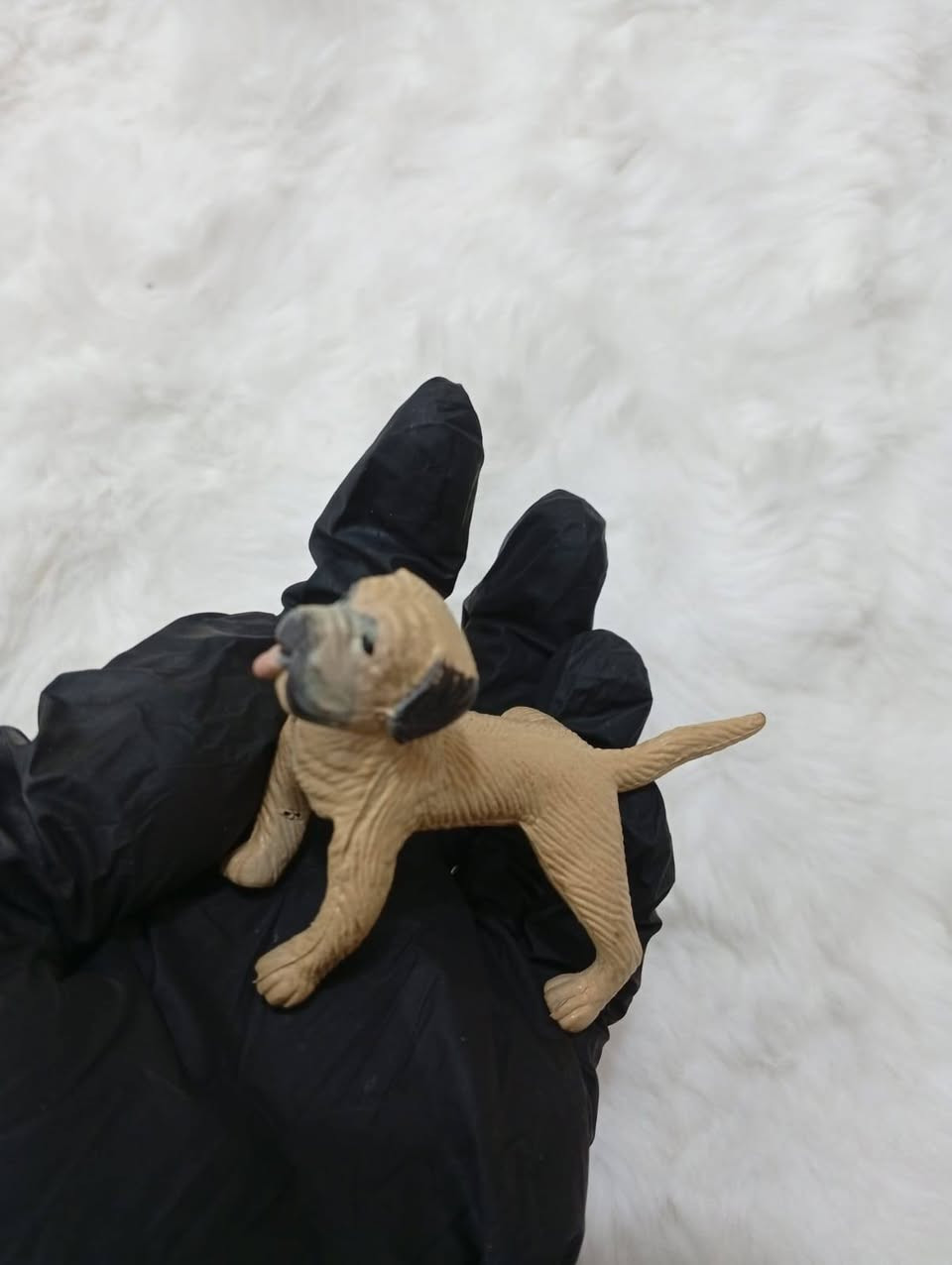 حيوانات باله اوربيه كبار ووسط 16 قطعه
10 الف


**إذا كنت صاحب هذا الإعلان وتريد حذفه لأي سبب، رجاءا أرسل رسالة إلى الدعم الفني**