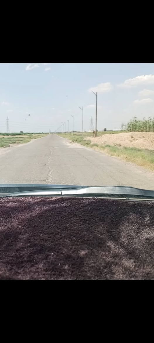 مزرعة دونمين ملك صرف كاملة ماء كهرباء نخل غرفة نوم وصحيات صالة مطبخ ونخل وجلسة سعر مناسب ***********قبل مجمع الفرسان شارع المجزرة ومزارع النخيل ديالى تبليط
