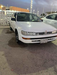 كورله • مداور بالنبار • النجف