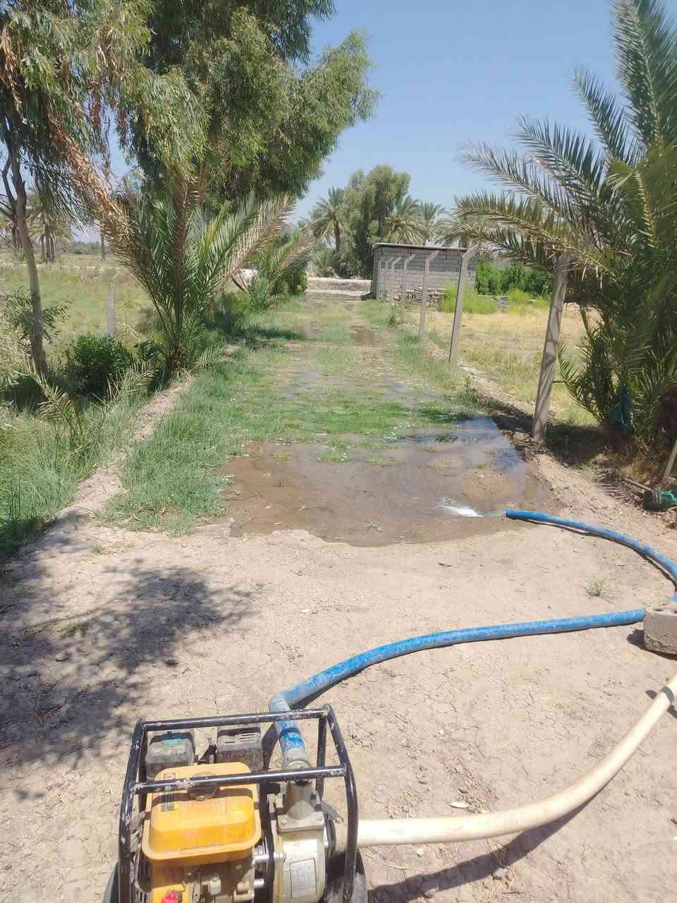قطعة أرض للبيع المساحه 500 مع الممر طابو زراعي سند 25 يوجد فيها زرع أشجار ونخيل القطعه مسيجه بالكامل مع الدفان العنوان منطقة هوى الشام تبعد عن الشارع العام 3ونص كيلو على طريق حله قاسم متوفر كافة الخدمات كهرباء وماء.... السعر 16 مليون
للتواصل على الرقم ***********
