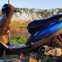 ماكس عدلة • ٥٥ • مراوس