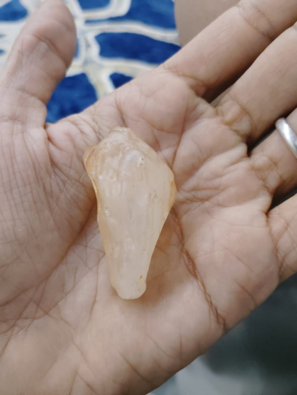 لبيع


**إذا كنت صاحب هذا الإعلان وتريد حذفه لأي سبب، رجاءا أرسل رسالة إلى الدعم الفني**