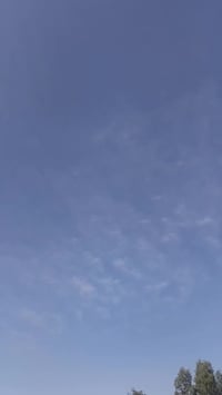 ٢٠ يوم • المجمع الكرار • كارتون