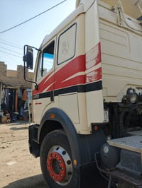 كاسحه • زعانف • اصليات