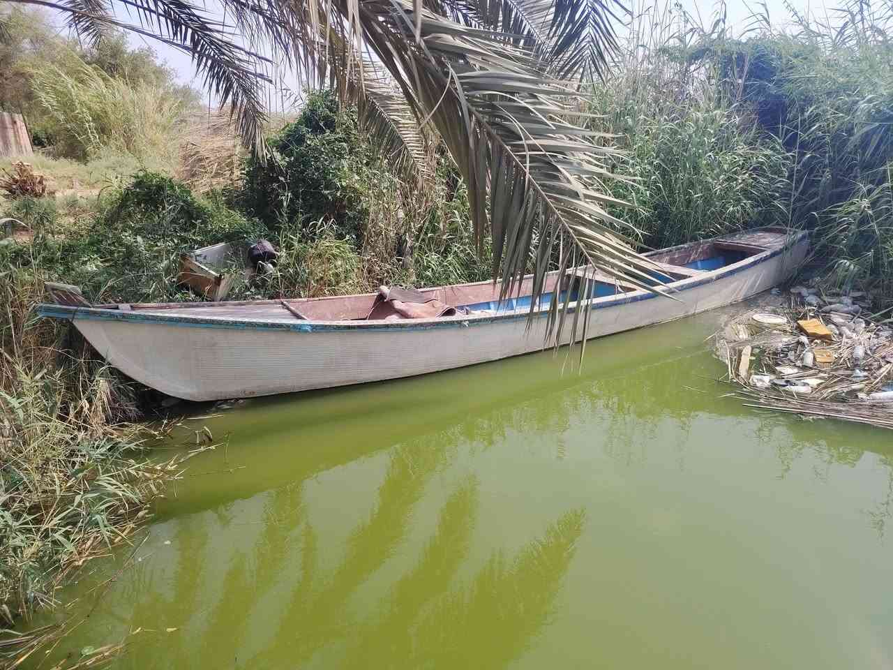 السلام عليكم جنكوه فيبر وشار الخرس الطول 14ذراع العرض متر و10 الارتفاع 48 كرمه علي الشلهه ***********
