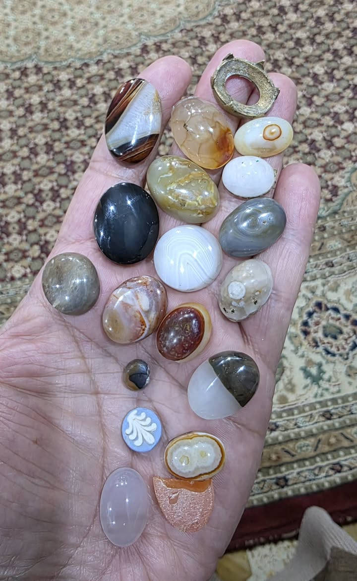 ابيع فقط شلعه ما ابيع مفردات يوجد توصيل


**إذا كنت صاحب هذا الإعلان وتريد حذفه لأي سبب، رجاءا أرسل رسالة إلى الدعم الفني**