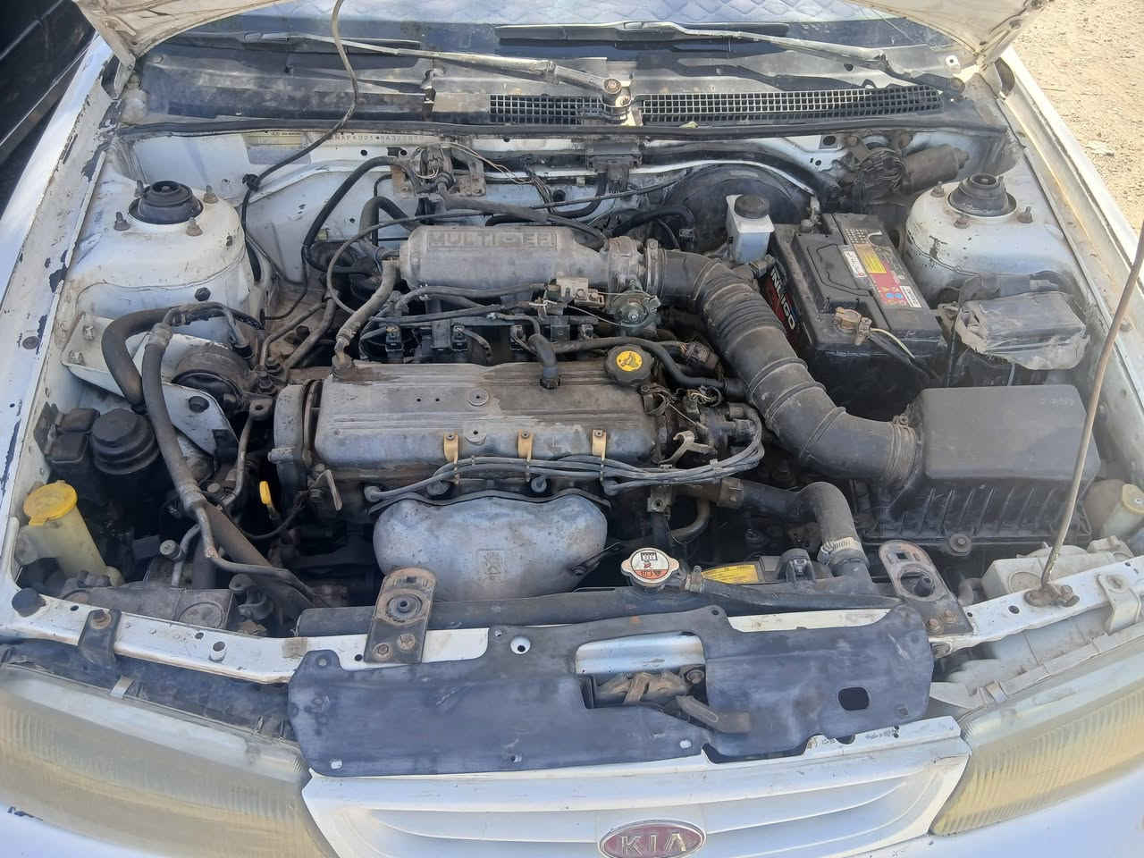 السلام عليكم كيا سيفيا موديل 95 گير اوتماتيك گير مكينا زينات السيارة لاضربه ولاكصه صبغ جماليه فقط حداديه زينه السعر 35بيها مجال مكان السيارة واسط الصويرة رقم الهاتف ***********
