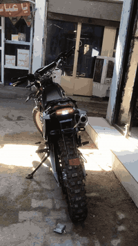 سلام عليكم قفاز كاوير 2025 للبيع المكان ديوانيه قضاء عفك السعر خاص وبخدمتكم
