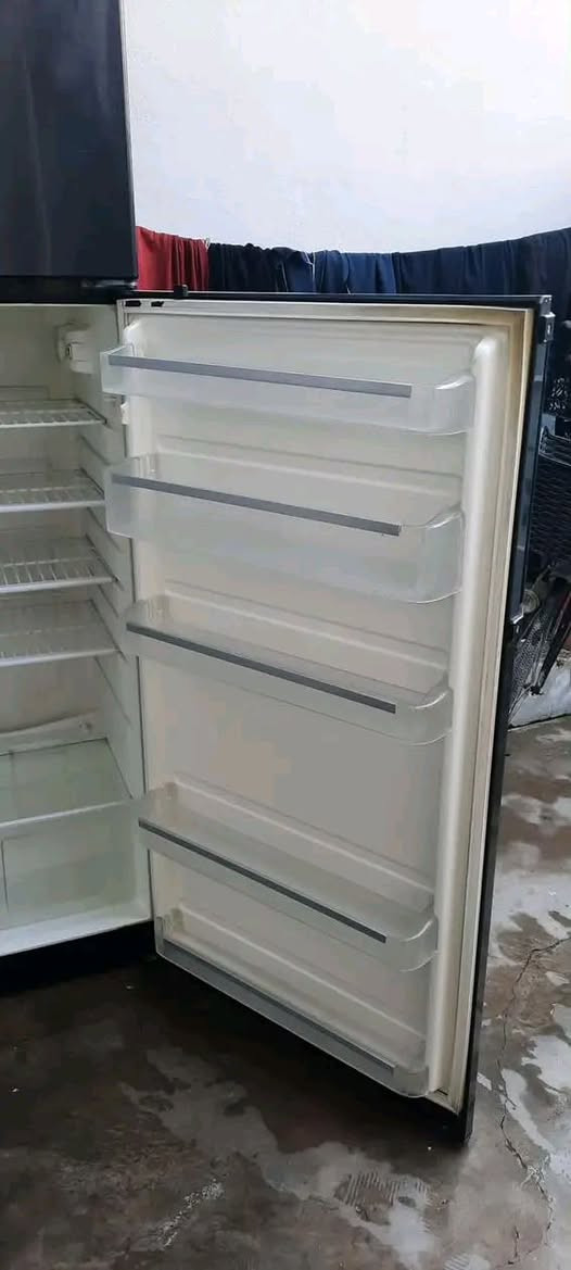 سلاجه فيستال 18قدم أخو جديد سعر200الف مكان كلار 
***********
