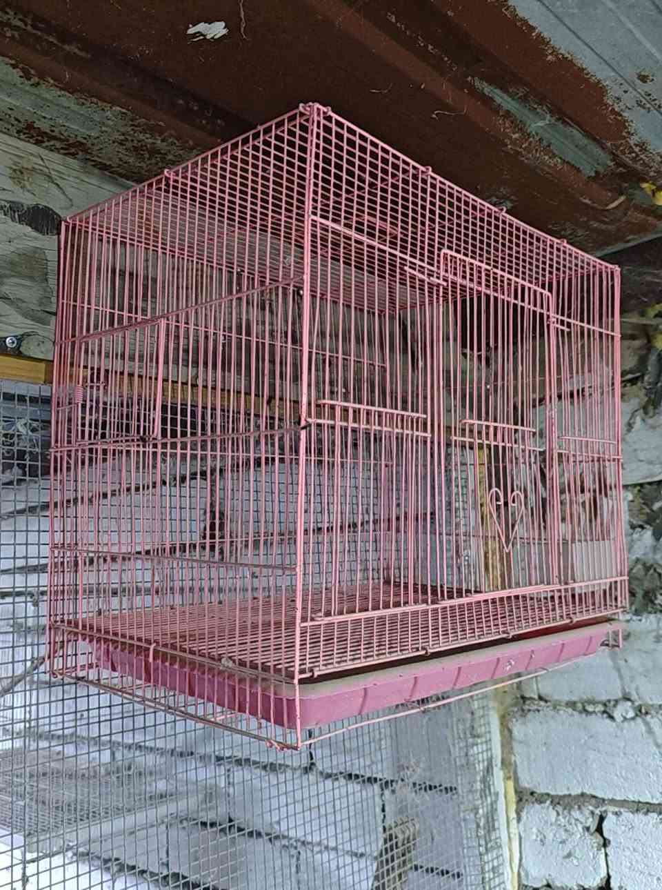 متاح اقفاص 2. الوردي جديد مامستخدم متروك. 
الازرك مستخدم كامل هوه وبيت تكاثر.     ب 25الف الاقفاص ثنينهن
الشراي يتفضل خاص.  
مكاني البصره قضاء المدينه الهوير.


**إذا كنت صاحب هذا الإعلان وتريد حذفه لأي سبب، رجاءا أرسل رسالة إلى الدعم الفني**