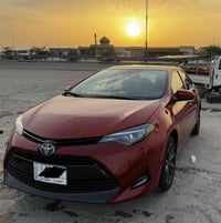 كوريلا • ٢٠١٧ • رقم بصره