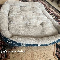 مستلزمات قطط • حيوانات أليفة • اكسسوارات قطط