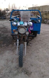 ستوته • أوراق • شاصي 2011