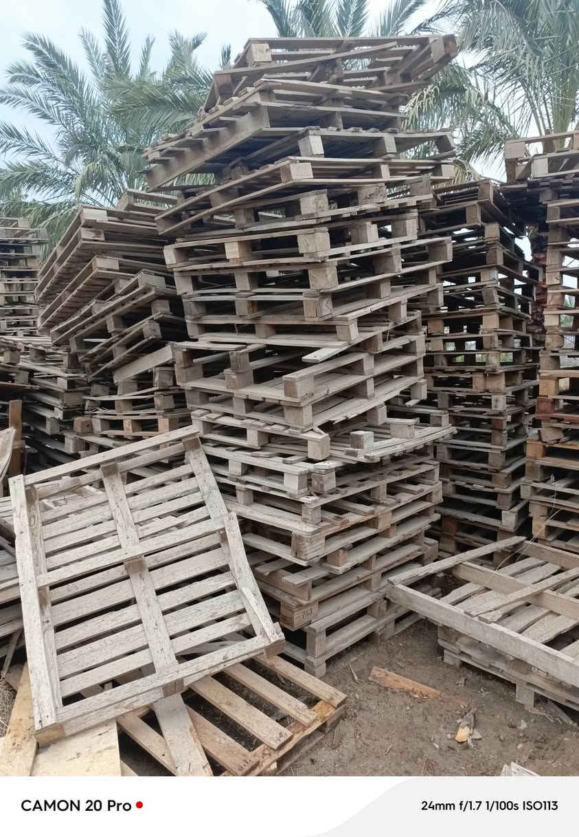 السلام عليكم
سكيب قياسات مختلفة سعر 2500 
عنوان ناحية الرشيد ***********
