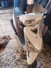 شباب دراجه منغولي للبيع السعر(375) بس كايمه بوش وبستم شغاله تأخذه تواص...