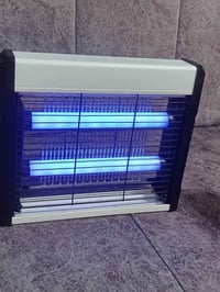 قانصة حشرات