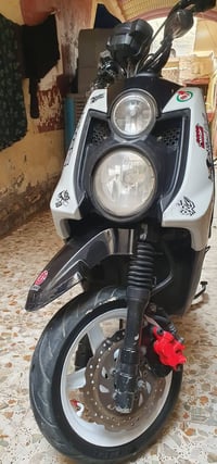 سكنس جبلي • كفالة عامة • النجف