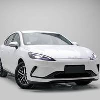 سيل 5 • ويل كروم • مرقمة بغداد