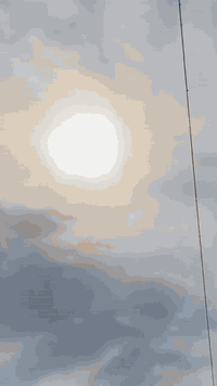 ٢٠٢٠ شهر ١١ للبيع رقم وسنويه تحويل ثاني يؤم اتصل ودلل  ***********
