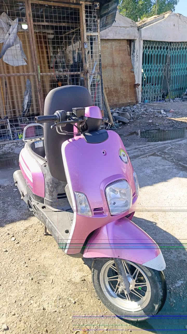 السلام عليكم شباب بوليس نازل كفاله عامه مكاني حي الجهاد قرب مدينه الالعاب ***********
