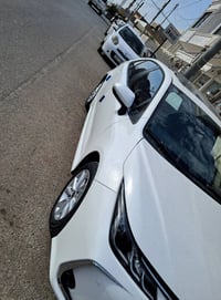 بيكاشو • ٢٠٢٥ • أربيل