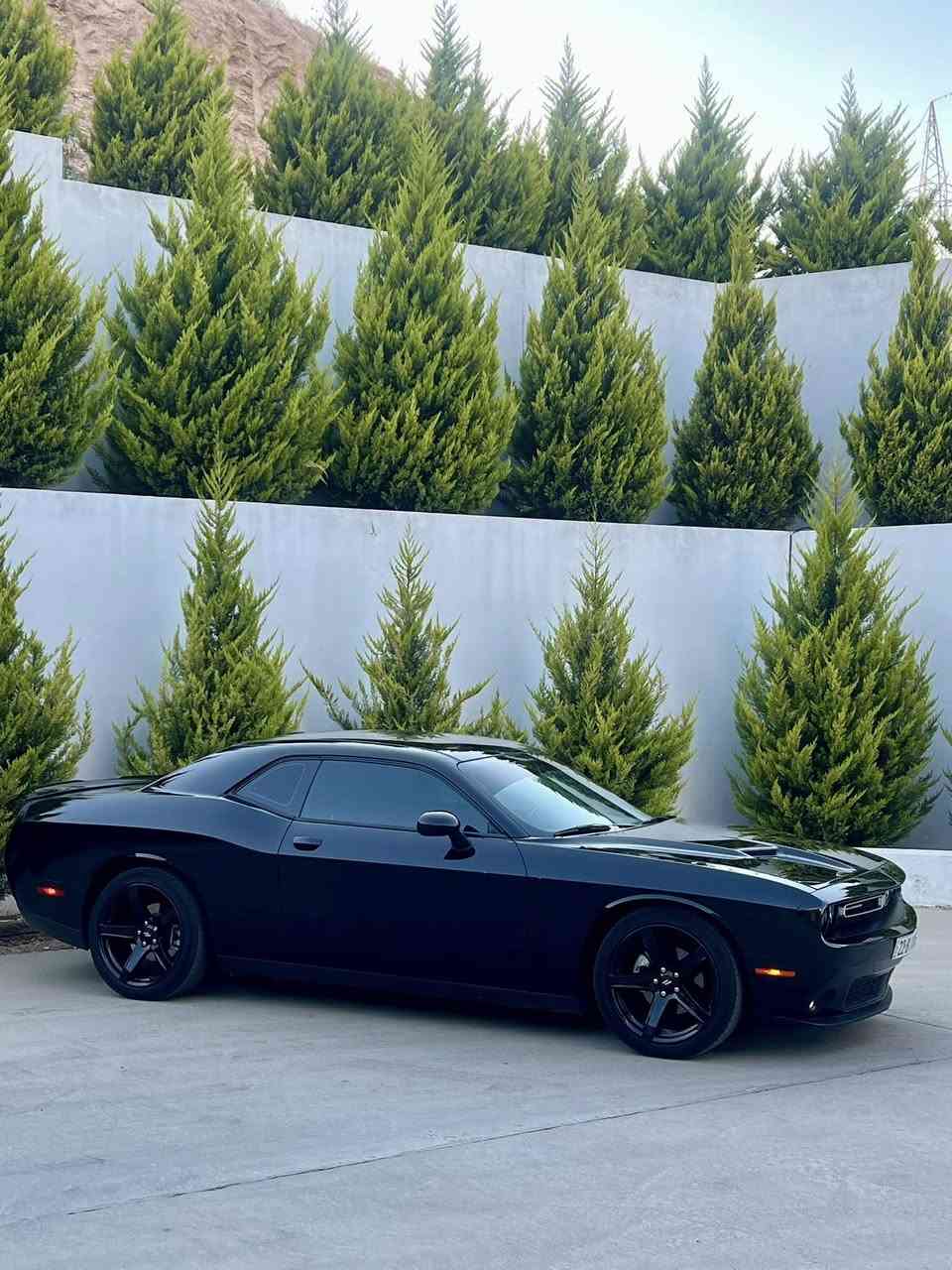Challnger 2019 SXT
رقمها اربيل دولي جديد
كير محرك اكسل مكفولات
حجر البيئه شرط
بيها صبغ  فقط جمالغ امامي كلير 
بدون دواخل بدون ايرباك
ماشيه 100ميل 
سياره وضع شركه
تايرات جدد
وياله 20 هيلكات
صدرها جديد
شفتات ستيرين 
مسويلها ادامه كامله
حمام و بولش جديد
شاشه كاربلي
منضومه زينون اصلي 
رقم و سنويه جدد لغايه 2027
شرط تحويل
مكان سياره دهوك
سعر 170 بيها مجال بسيط
 مراوسه حسب قناعه
واتساب ***********
