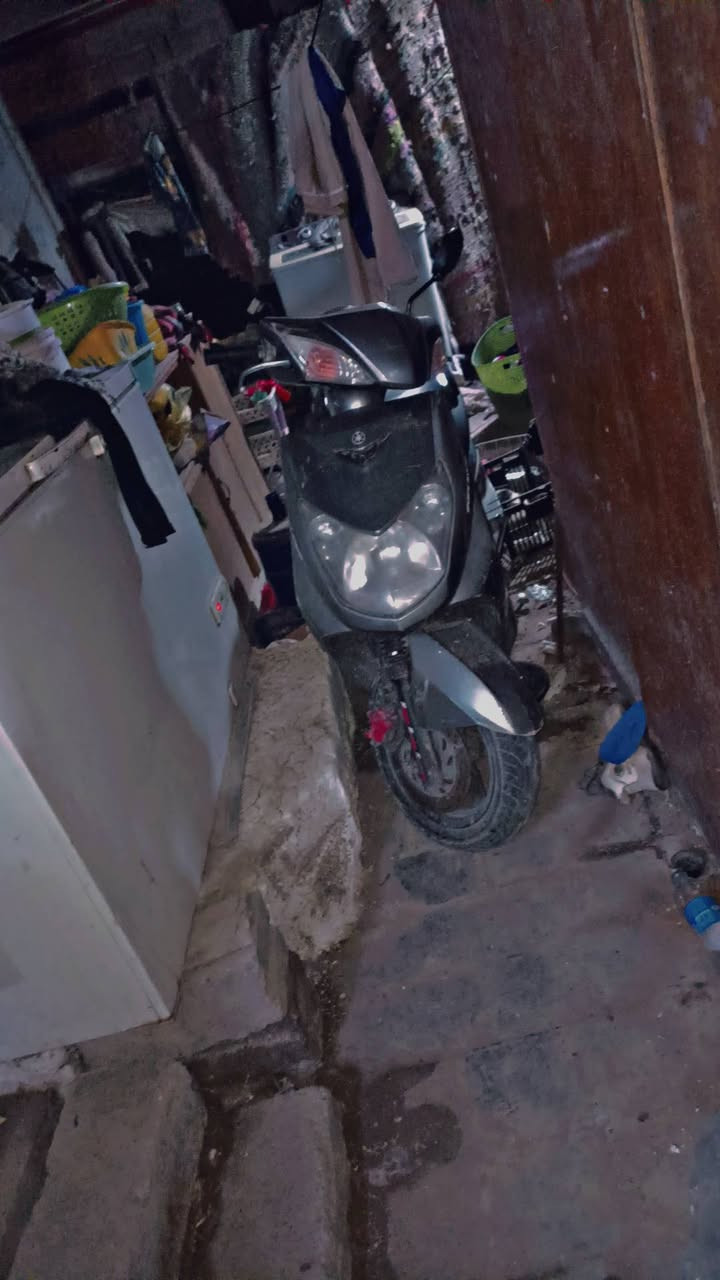 السلام عليكم من رخصة الادمن
سكنس فحل كابريتر موديل 2008 للبيع او مراوس بستوته 
الرقم /*********** وبي واستاب
