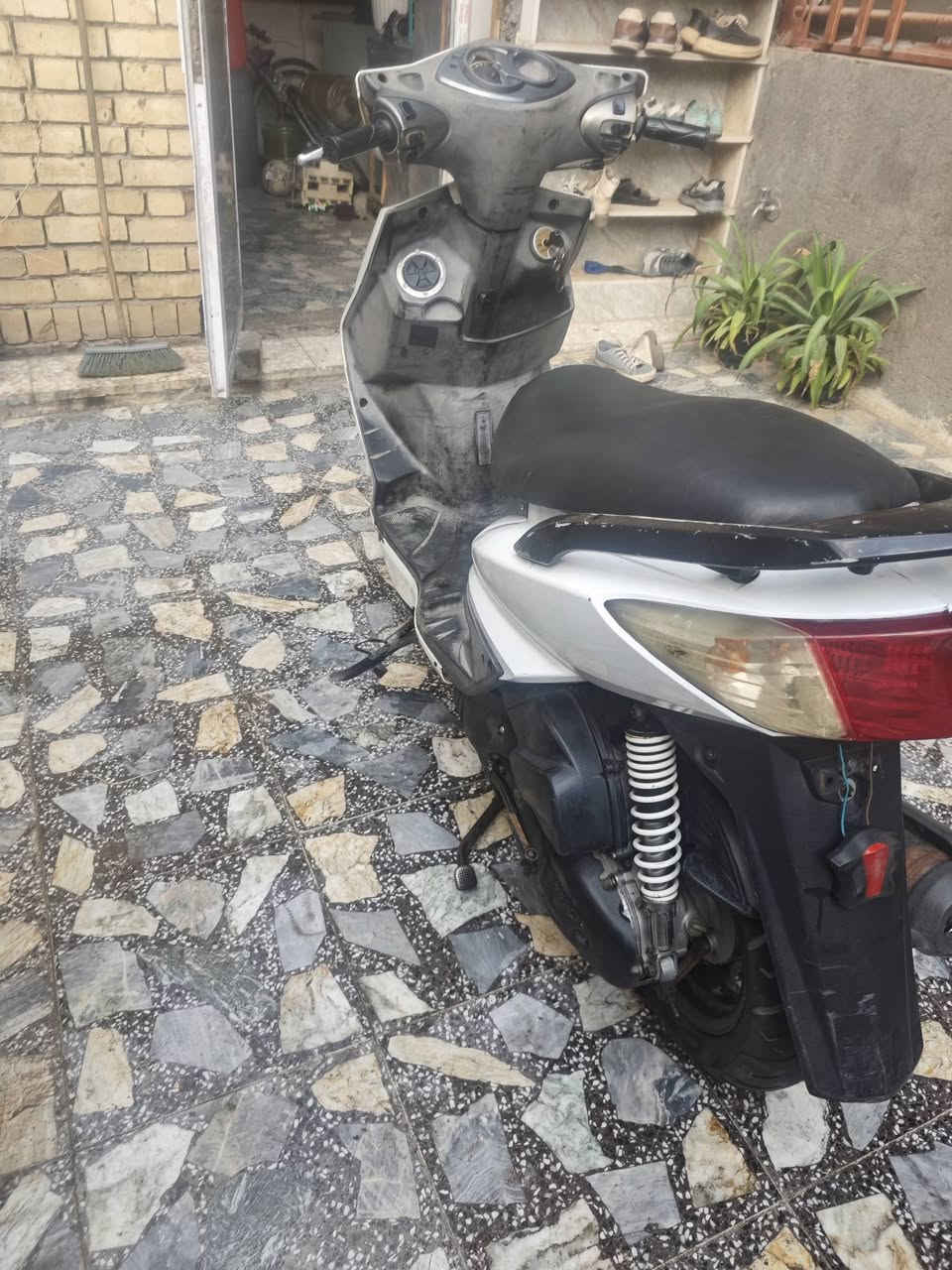 السلام عليكم سكنس فحل كابريتر للبيع أو مراوس حسب القناعةمكينة خرسة لاتنقيص لاتبخير لا نضوح نكرة بكل وقت نقص فقط دشبول  باقي كلة شغال  السعر 600وبيهة مجال مكاني بغداد مدينة الصدر  رقمي ***********
