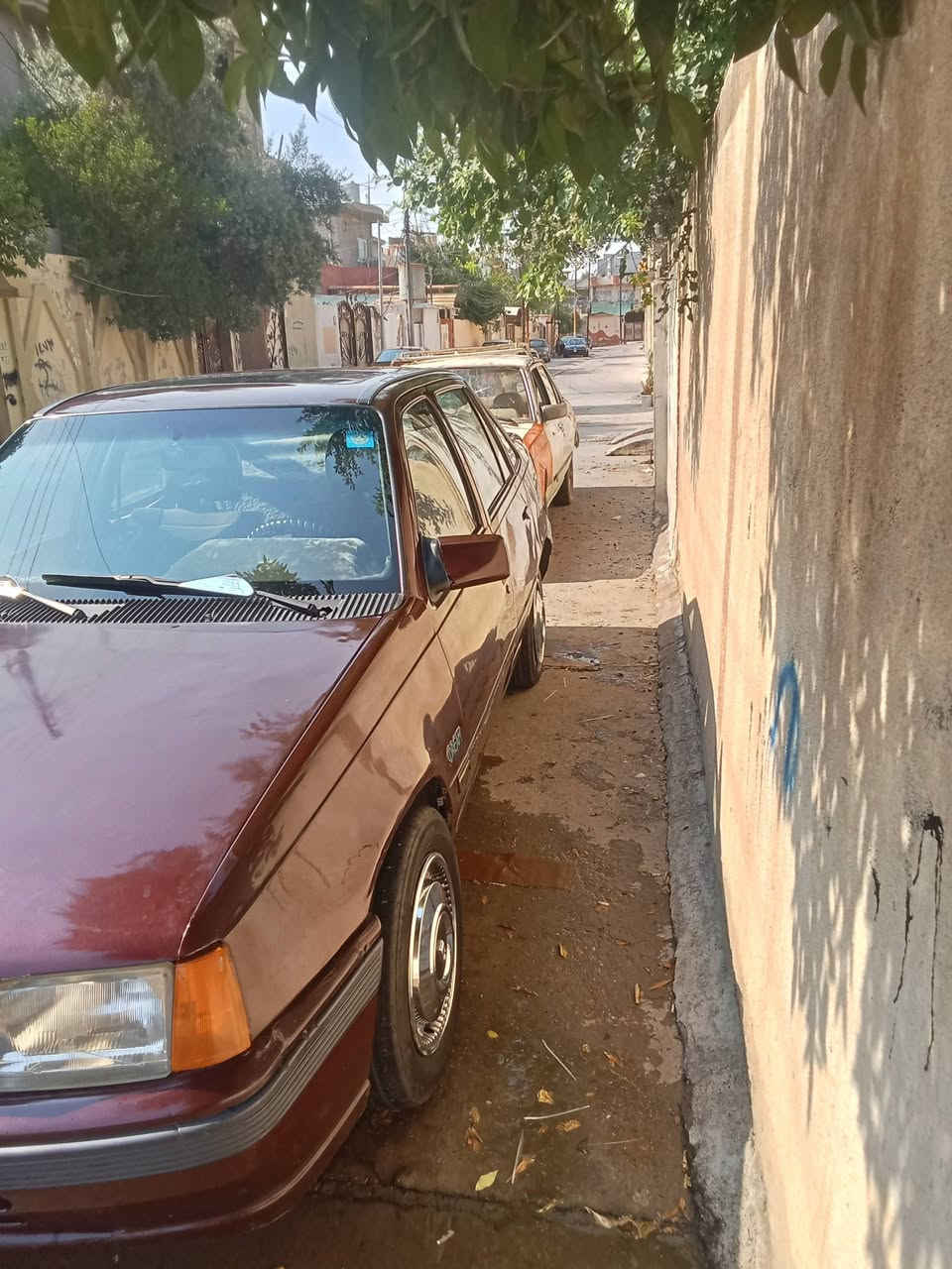 كاديت موديل 88 شرط محرك والكير محرك 16 بدون ضرر مصبوغه عام جماليه السعر 26
*********** 
‪‪***********
