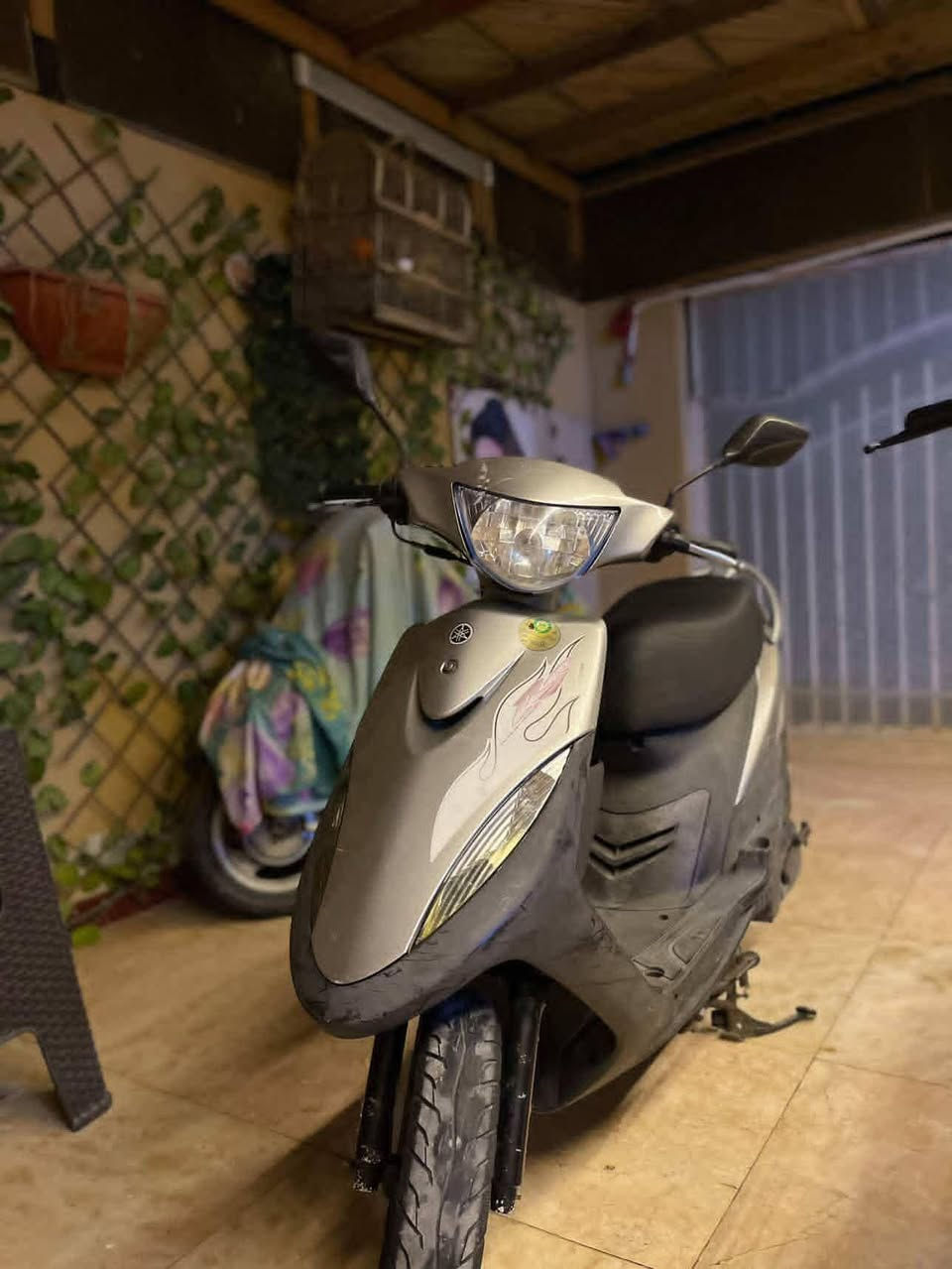 دراجه ماكس عدله حاويه حاويه رمبه وصل موجود البارحه طلعت من لرمبه بس صار ضرف لدراجه اريدها ب1200وبيها مجال قليل كلش ماشيه 30الف رقم تواصل ***********
