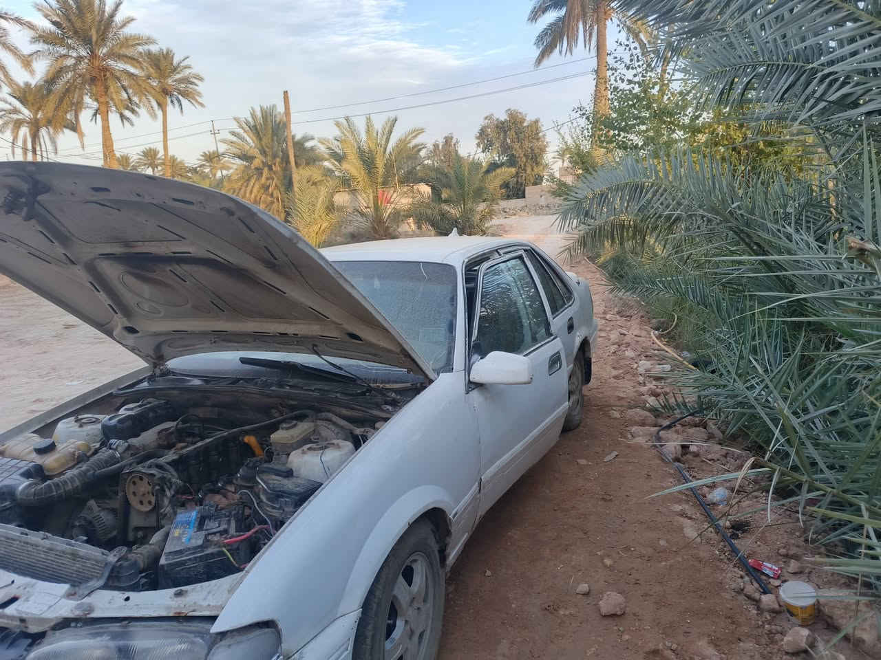 سلام عليكم ورحمة الله وبركاتة مرخصت لادمن دايو برنس فراشه للبيع سياره كهربايت جاهزه سياره صارله شهر ما مشتغله رقمه قادسيه نكليزي بسمي مداور ثاني يوم سعره 20وبيه مجال حق الجيه ***********
