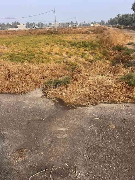 قطعه 350م. ركن قرب حي الشرطه السعر ٣٠ بيها مجال قليل 
كافة الخدمات. ماء. تبليط. كهرباء.  اناره. 

للأستفسار ***********
