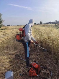 يوجد حاصود بل أ جرة اسعار مناسبه 07830448950