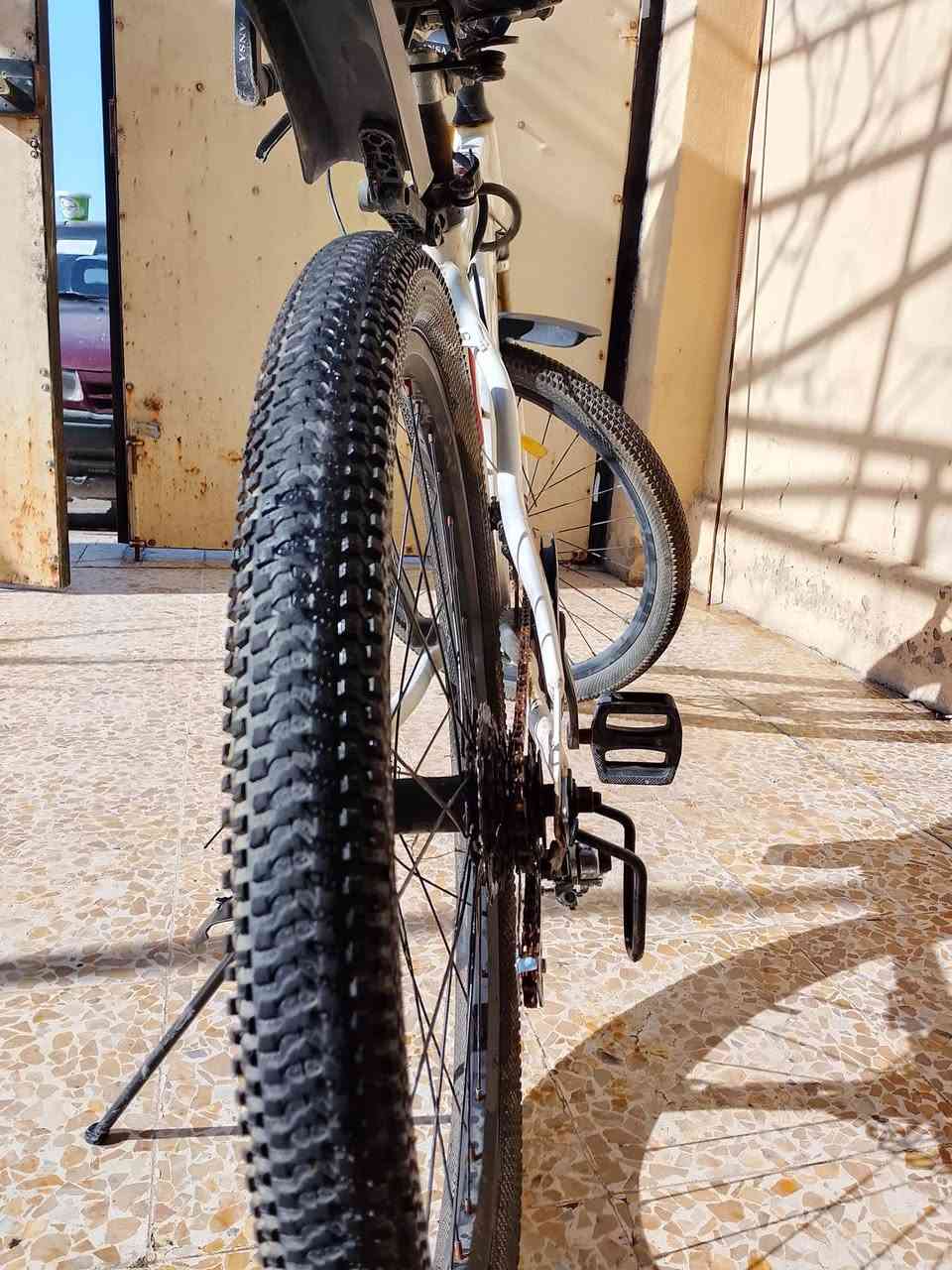 بايسكل حجم 27 سعر 75


**إذا كنت صاحب هذا الإعلان وتريد حذفه لأي سبب، رجاءا أرسل رسالة إلى الدعم الفني**