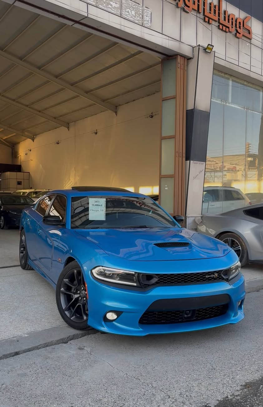 جارجر ٢٠٢٣ سكات پاك قباط قباط
1 قتعه سبغ بي داخلي بي ايرباك🔥
31 مايلا جوى
مكينه سكات 6.4💣
سلايد+رادار+شغال+كوشن خزن+كوشن سار گرم+سكان هيتر+حساس سياره قباطه...
سعر 365$ مجال
*********** زاخو, دهوك
