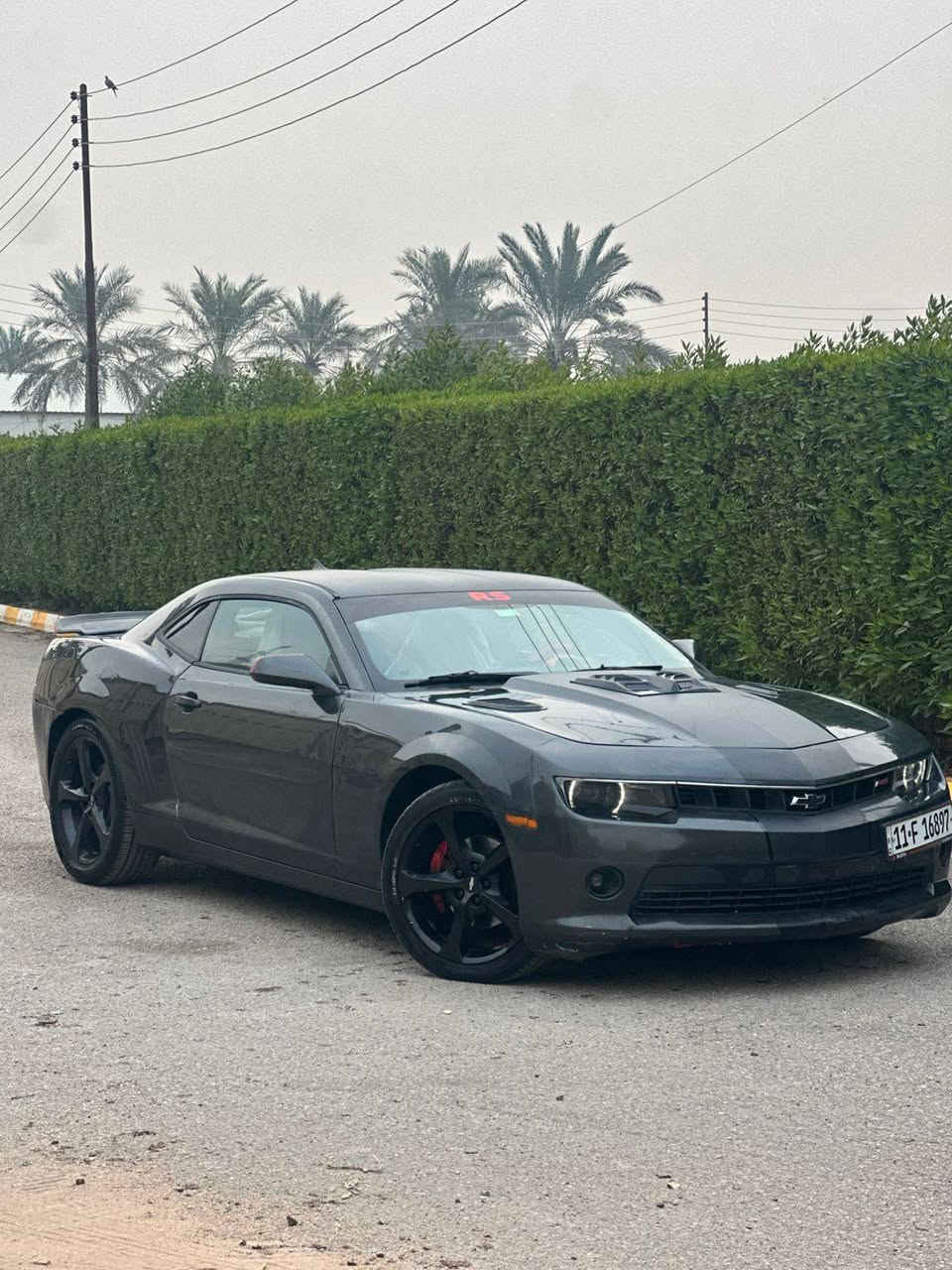 كمارو موديل 2015 للبيع فقط
رقم بغداد انكليزي تحويل ثاني يوم
فول مواصفات عده الفتحة
السيارة ليبل واحد  بيها 3 قطع صبغ فقط
صور الحادث بأمريكا موجودات بلمنشور
السعر 90 ورقة وبيها مجال بسيط
مكاني بابل المسيب 
للاستفسار ***********
