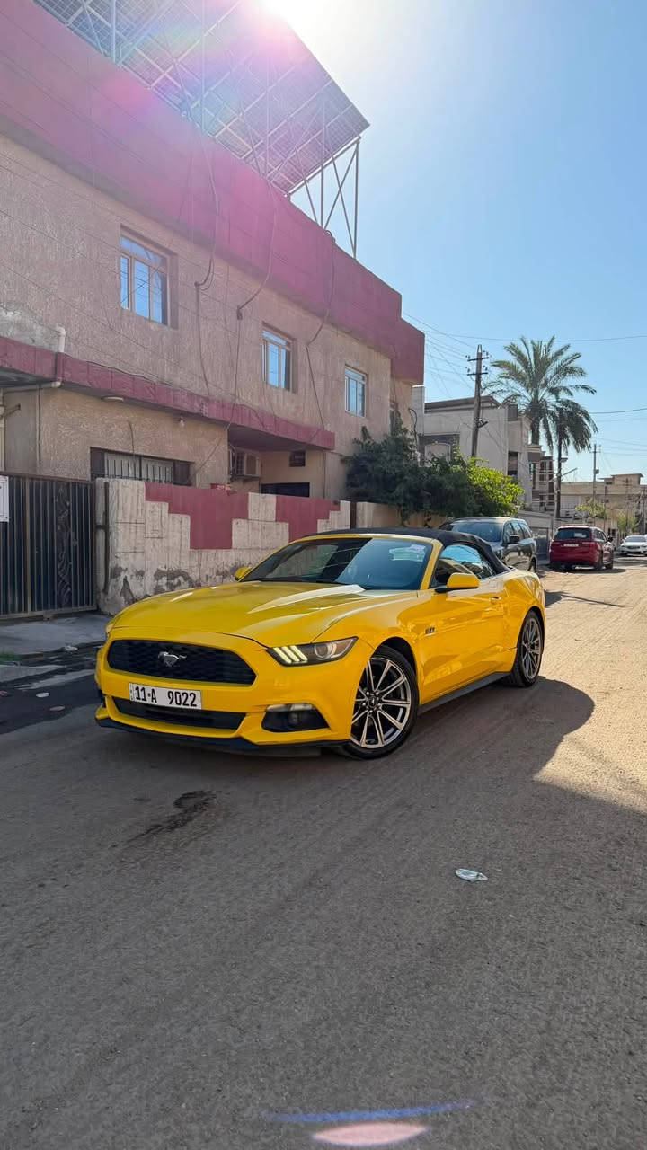 السلام عليكم

للبيع او مراوس حسب القناعه
mustang V6 2015🐎🚀

حادثها جاملغ خلفي نصه مصبوغ فقط بجم كبس بدون ايرباك

محرك وكير مكفولات من الفتح والتبديل

لون مميز اصفر 💛💛

رقم بغداد مميز بأسمي💵

مواصفات السته سلندر العاديه🔥
كامره خلفيه
كشن كهرباء
بصمه 
تشغيل عن بعد

ماشيه 97
مسويلها ادامه كامله يم علي الصميدعي
مبرمجه سيفتي يم طلال 4brothers
تخم تاير جديد
دسكات جديده
السياره حلوه ومصروف عليها وجديده كلش معتني بيها

للاستفسار
***********
